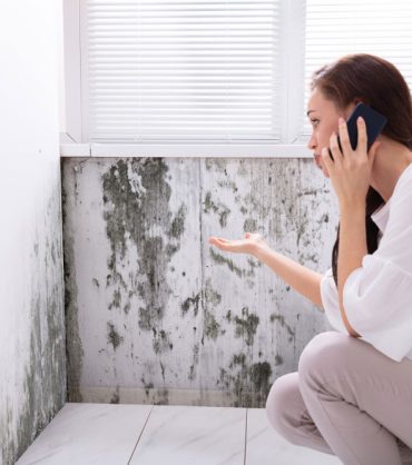 mold-and-real-estate-how-mold-can-impact-property-values