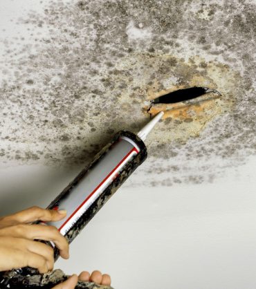 mold-prevention-and-treatment-key-strategies-after-flooding