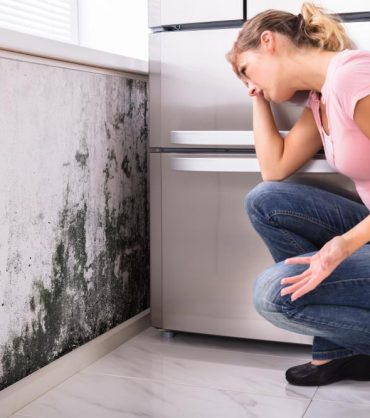 How-Can-You-Identify-Mold-in-Your-Home,-and-What-Should-You-Do-Next-img