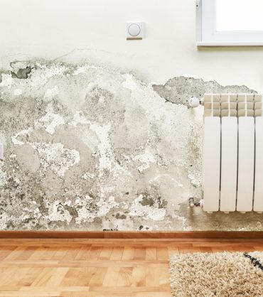 Damage,Caused,By,Damp,On,A,Wall,In,Modern,House